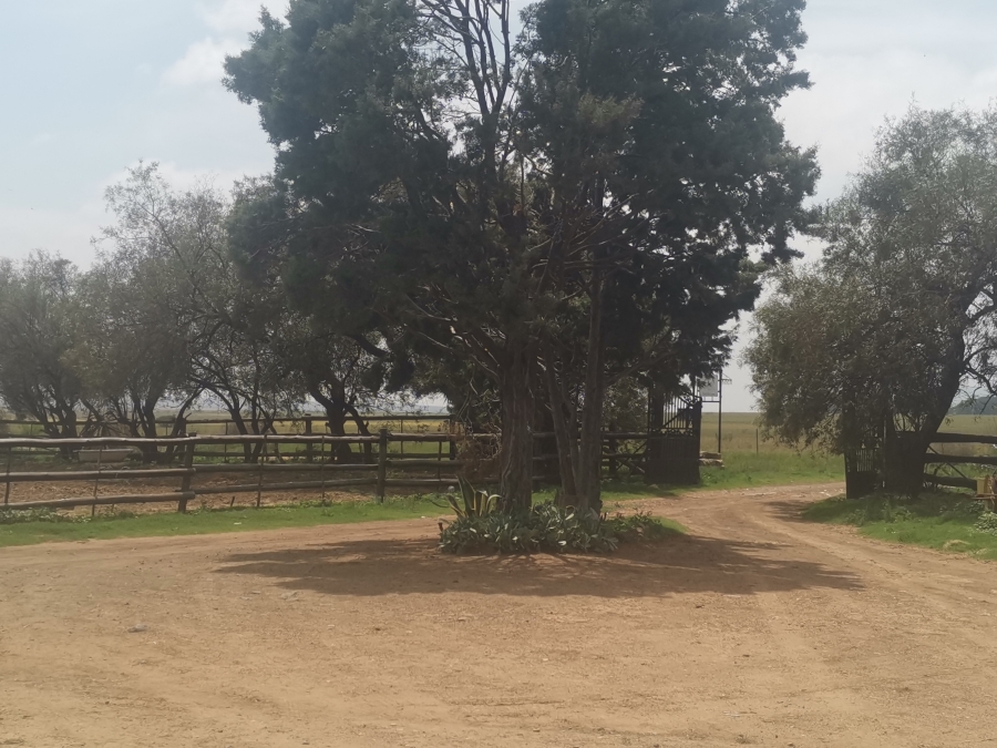 5 Bedroom Property for Sale in Senekal Rural Free State